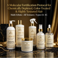 SILKFUSION MOLECULAR Black Rice & Cortex Resilience Hair Care System 6-Piece Complete Collection